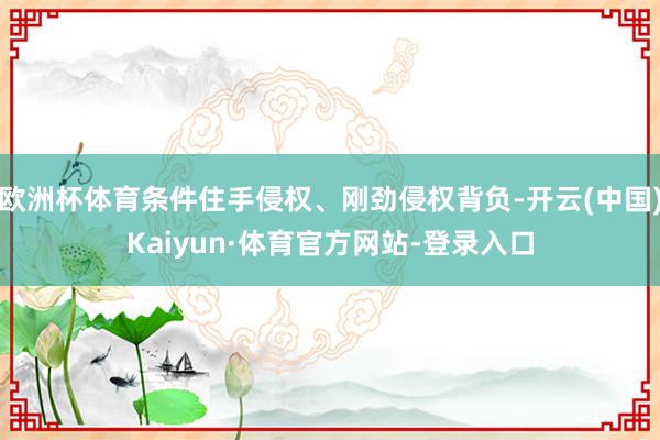 欧洲杯体育条件住手侵权、刚劲侵权背负-开云(中国)Kaiyun·体育官方网站-登录入口