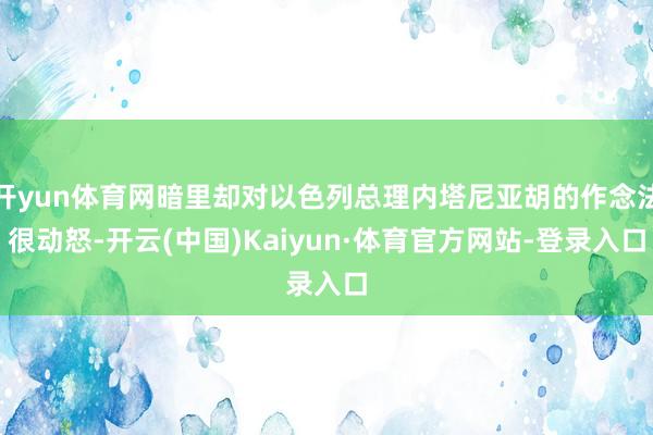 开yun体育网暗里却对以色列总理内塔尼亚胡的作念法很动怒-开云(中国)Kaiyun·体育官方网站-登录入口