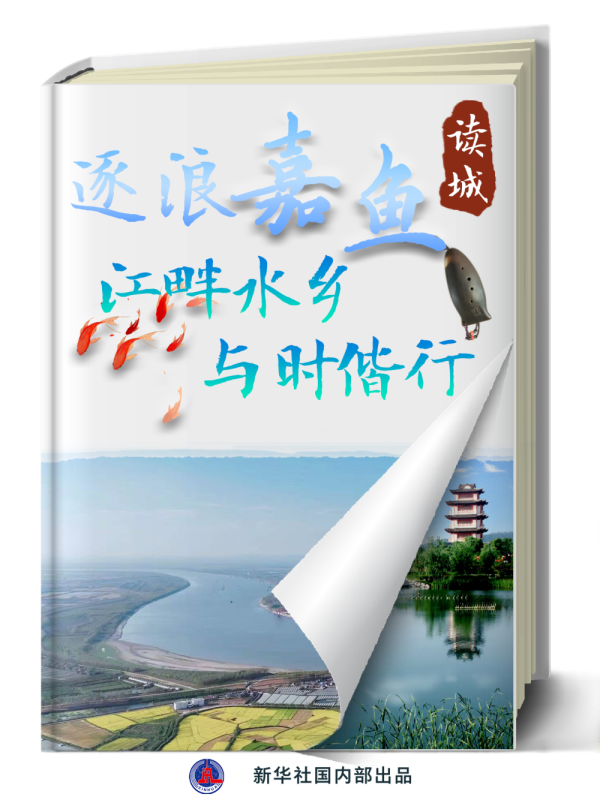 体育游戏app平台鱼、螃蟹等水产物年产量超7万吨-开云(中国)Kaiyun·体育官方网站-登录入口