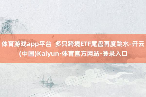 体育游戏app平台  多只跨境ETF尾盘再度跳水-开云(中国)Kaiyun·体育官方网站-登录入口